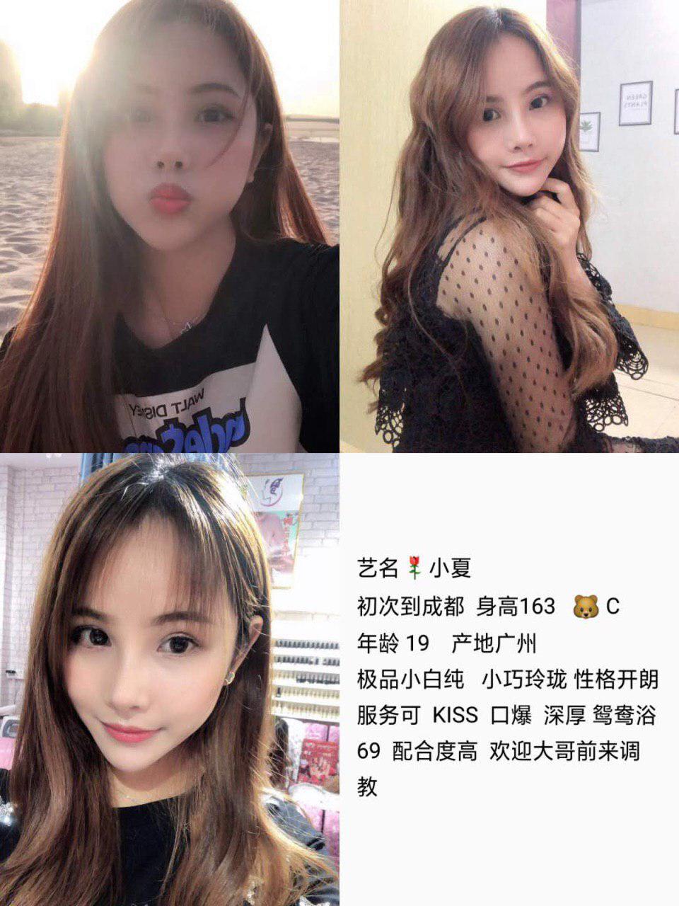 那一夜的情人启示原画质